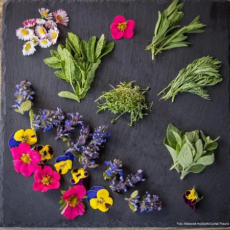 Restaurant - Cafe - Hassler Vendégház 3*