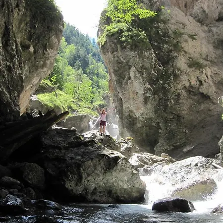 Restaurant - Cafe - Hassler 3*